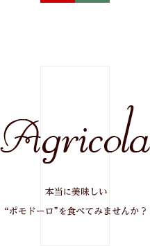 サンマルツァーノトマト（リゼルバ）の生産物販売　株式会社Agricola